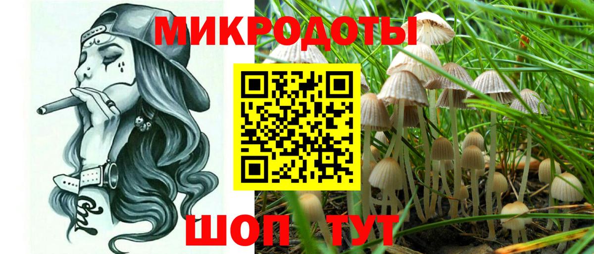 Псилоцибиновые грибы прущие грибы  Галлюциногенные грибы Psilocybe  Вход с VPN  Большой Камень 