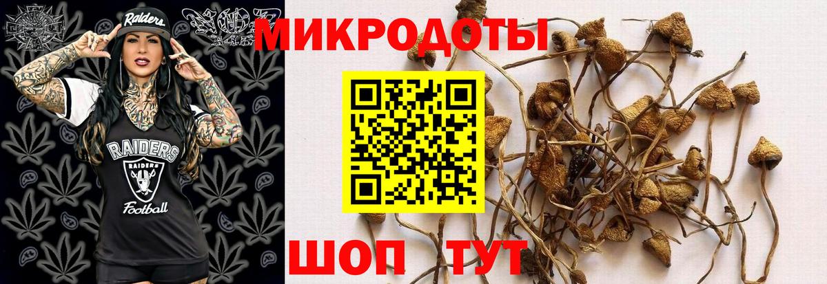 Псилоцибиновые грибы GOLDEN TEACHER Большой Камень